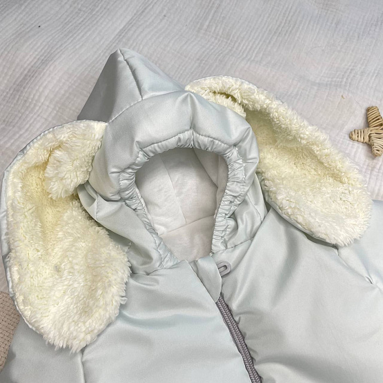 11-408з Комбинезон утепленный прогулочный Зая 